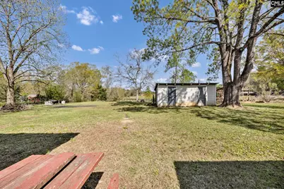 421 &amp; 0 Shore Road, Gilbert, SC 29054 - Photo 49