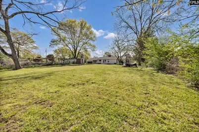 421 &amp; 0 Shore Road, Gilbert, SC 29054 - Photo 17