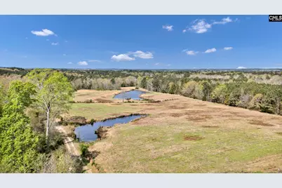 421 &amp; 0 Shore Road, Gilbert, SC 29054 - Photo 5