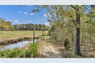 421 &amp; 0 Shore Road, Gilbert, SC 29054 - Photo 11