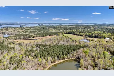 421 &amp; 0 Shore Road, Gilbert, SC 29054 - Photo 51