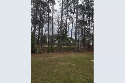 765 Club Cottage Drive, Blythewood, SC 29016 - Photo 11