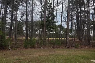 765 Club Cottage Dr, Blythewood, SC 29016 - Photo 11