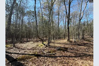 Bhl 12 Boise Cascade Road Bhl 12, Bethune, SC 29009 - Photo 5