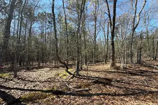 Bhl 12 Boise Cascade Road Bhl 12, Bethune, SC 29009 - Photo 5