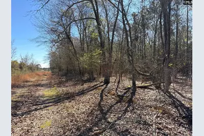 Bhl 12 Boise Cascade Road Bhl 12, Bethune, SC 29009 - Photo 3