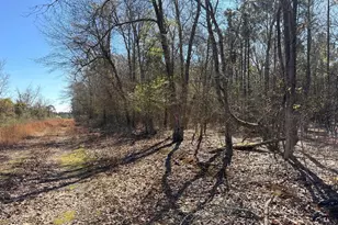 Bhl 12 Boise Cascade Road Bhl 12, Bethune, SC 29009 - Photo 3