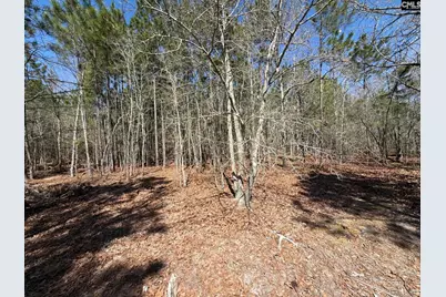 Bhl 12 Boise Cascade Road Bhl 12, Bethune, SC 29009 - Photo 15