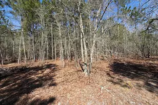 Bhl 12 Boise Cascade Road Bhl 12, Bethune, SC 29009 - Photo 15