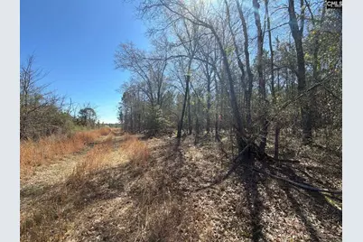 Bhl 12 Boise Cascade Road Bhl 12, Bethune, SC 29009 - Photo 7