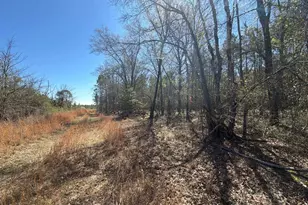 Bhl 12 Boise Cascade Road Bhl 12, Bethune, SC 29009 - Photo 7