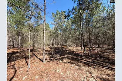 Bhl 12 Boise Cascade Road Bhl 12, Bethune, SC 29009 - Photo 17