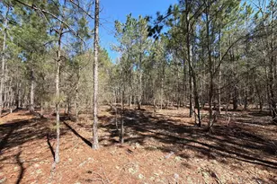 Bhl 12 Boise Cascade Road Bhl 12, Bethune, SC 29009 - Photo 17