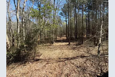 Bhl 12 Boise Cascade Road Bhl 12, Bethune, SC 29009 - Photo 19