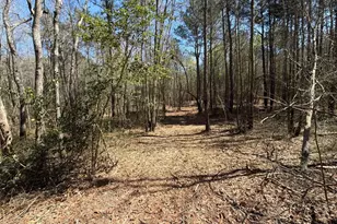 Bhl 12 Boise Cascade Road Bhl 12, Bethune, SC 29009 - Photo 19