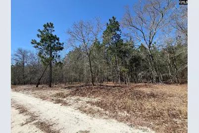 Bhl 12 Boise Cascade Road Bhl 12, Bethune, SC 29009 - Photo 13