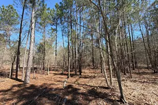 Bhl 13 Boise Cascade Road Bhl 13, Bethune, SC 29009 - Photo 11