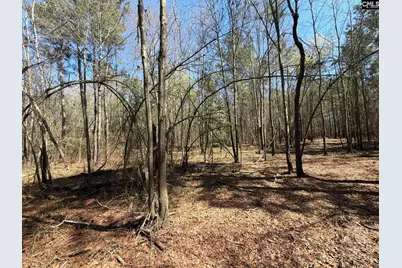 Bhl 13 Boise Cascade Road Bhl 13, Bethune, SC 29009 - Photo 23