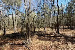 Bhl 13 Boise Cascade Road Bhl 13, Bethune, SC 29009 - Photo 23