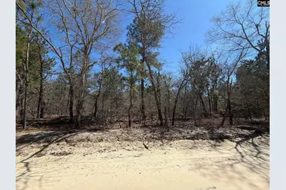 Bhl 13 Boise Cascade Road Bhl 13, Bethune, SC 29009 - Photo 29