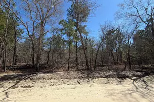 Bhl 13 Boise Cascade Road Bhl 13, Bethune, SC 29009 - Photo 29