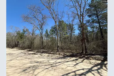 Bhl 13 Boise Cascade Road Bhl 13, Bethune, SC 29009 - Photo 27