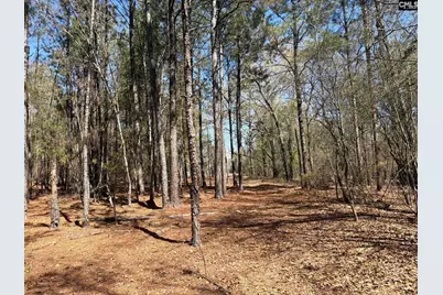 Bhl 13 Boise Cascade Road Bhl 13, Bethune, SC 29009 - Photo 17