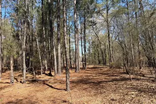 Bhl 13 Boise Cascade Road Bhl 13, Bethune, SC 29009 - Photo 17