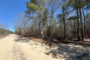 Bhl 13 Boise Cascade Road Bhl 13, Bethune, SC 29009 - Photo 25