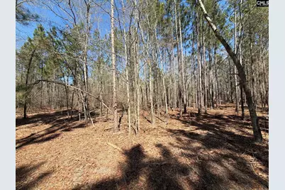 Bhl 13 Boise Cascade Road Bhl 13, Bethune, SC 29009 - Photo 1