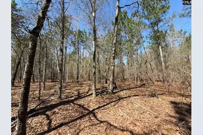 Bhl 13 Boise Cascade Road Bhl 13, Bethune, SC 29009 - Photo 3