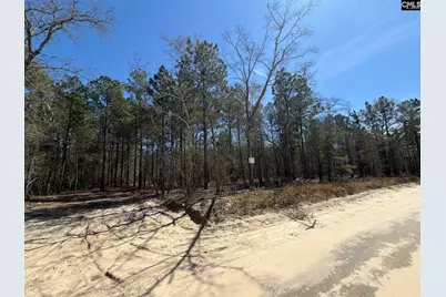 Bhl 13 Boise Cascade Road Bhl 13, Bethune, SC 29009 - Photo 31