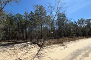 Bhl 13 Boise Cascade Road Bhl 13, Bethune, SC 29009 - Photo 31