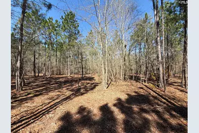 Bhl 13 Boise Cascade Road Bhl 13, Bethune, SC 29009 - Photo 9