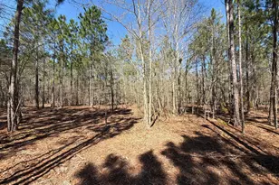 Bhl 13 Boise Cascade Road Bhl 13, Bethune, SC 29009 - Photo 9