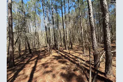 Bhl 13 Boise Cascade Road Bhl 13, Bethune, SC 29009 - Photo 21