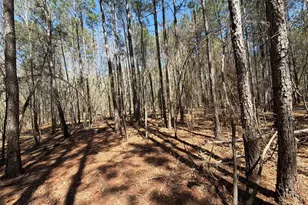 Bhl 13 Boise Cascade Road Bhl 13, Bethune, SC 29009 - Photo 21