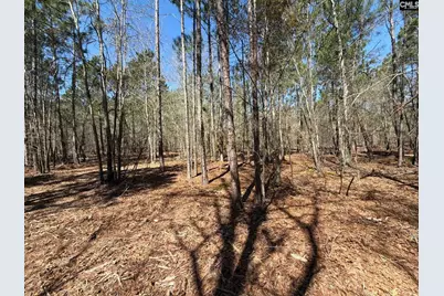 Bhl 13 Boise Cascade Road Bhl 13, Bethune, SC 29009 - Photo 5