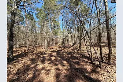 Bhl 13 Boise Cascade Road Bhl 13, Bethune, SC 29009 - Photo 13