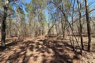 Bhl 13 Boise Cascade Road Bhl 13, Bethune, SC 29009 - Photo 13