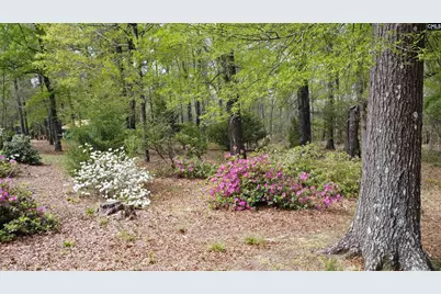 418 Gin Branch Circle, Leesville, SC 29070 - Photo 45