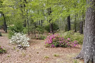 418 Gin Branch Cir, Leesville, SC 29070 - Photo 45