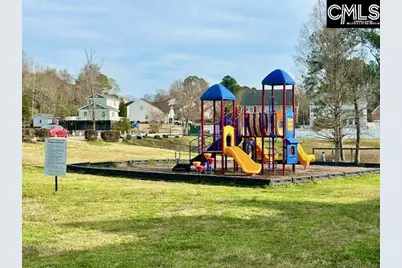 118 Walkbridge Way, Chapin, SC 29036 - Photo 33