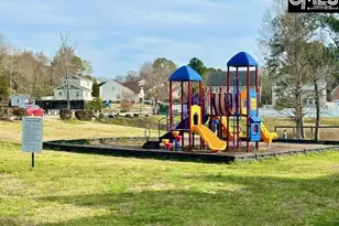 118 Walkbridge Way, Chapin, SC 29036 - Photo 37