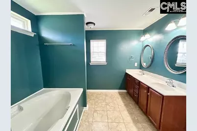 118 Walkbridge Way, Chapin, SC 29036 - Photo 19