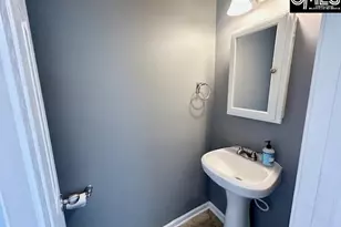 118 Walkbridge Way, Chapin, SC 29036 - Photo 15