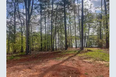 193 Lands End Drive, Prosperity, SC 29127 - Photo 33