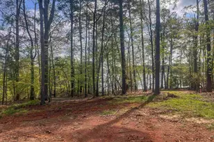 193 Lands End Dr, Prosperity, SC 29127 - Photo 33