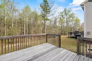 227 Honey Hill Way, Blythewood, SC 29016 - Photo 21