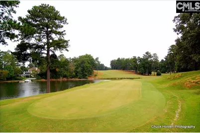 508 Links Pointe Court, Chapin, SC 29036 - Photo 75